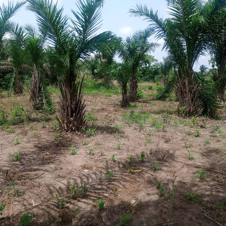 LAND FOR SALE